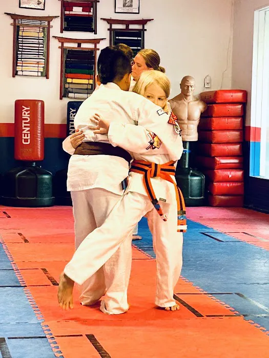 Family Karate Academy USA Picture 7