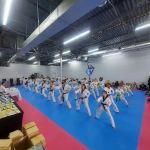 Confidence Club Martial Arts