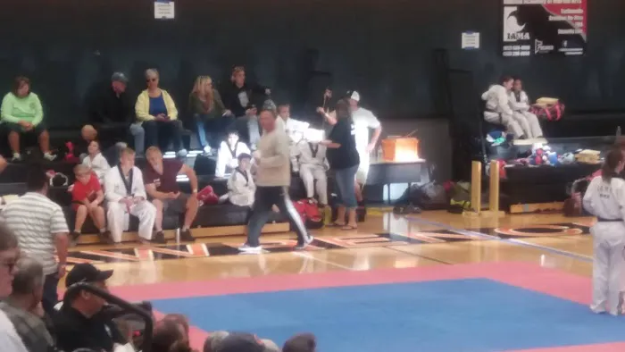 Hammer martial arts Picture 2