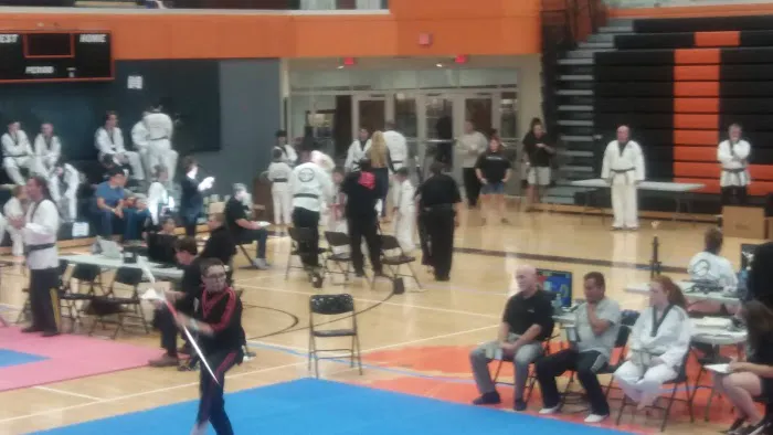 Hammer martial arts Picture 1