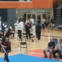 Hammer martial arts ico