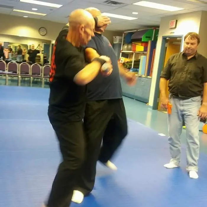 Hammer martial arts Picture 8