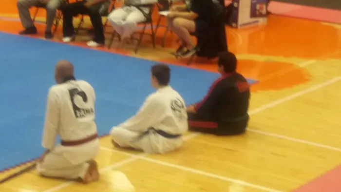 Hammer martial arts Picture 5