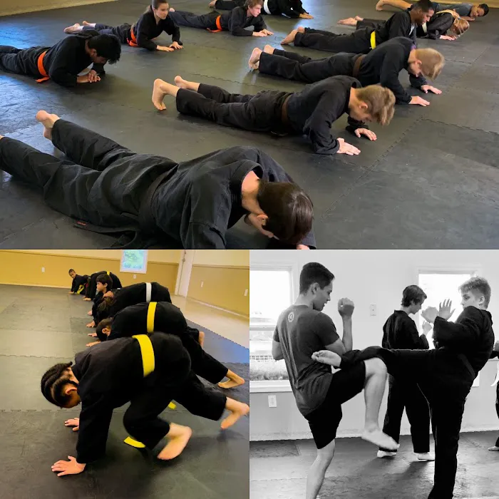 Pyramid Karate Picture 3