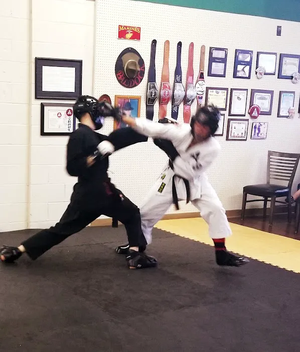 Pyramid Karate Picture 6