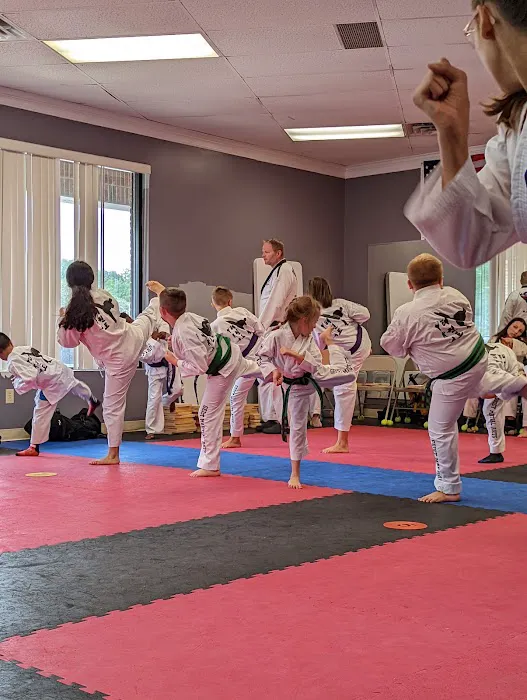 Geist Martial Arts Picture 1