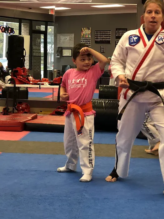 Geist Martial Arts Picture 7