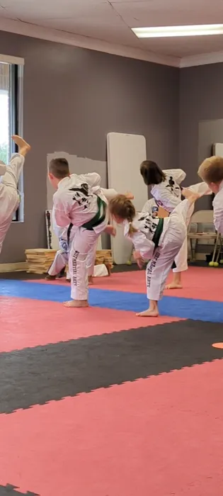 Geist Martial Arts Picture 10