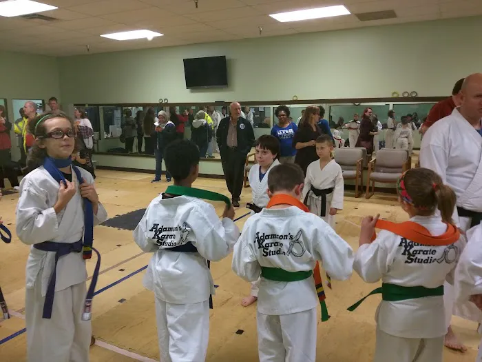 Adamson's Karate Brownsburg Picture 1