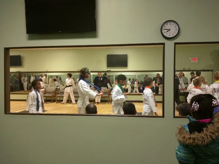 Adamson's Karate Brownsburg Picture 3