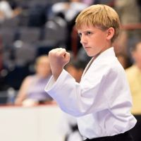 Adamson's Karate Studio ico