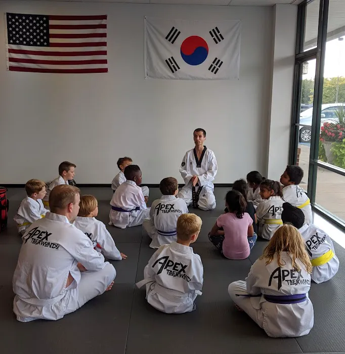 Apex Taekwondo Center Picture 1