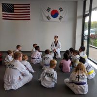 Apex Taekwondo Center ico