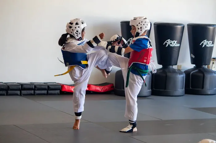 Apex Taekwondo Center Picture 3