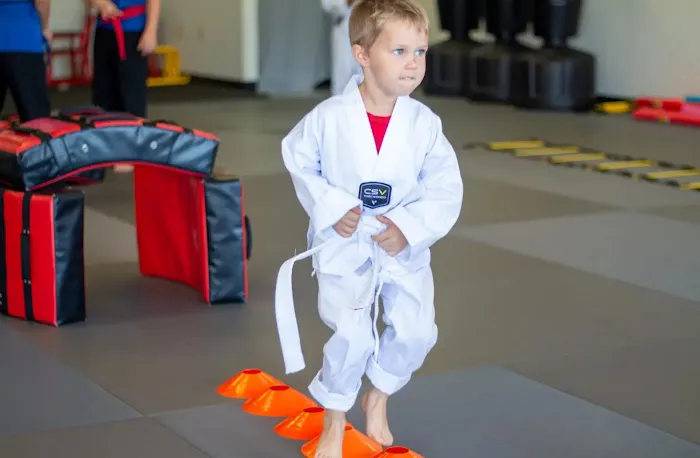 Apex Taekwondo Center Picture 7