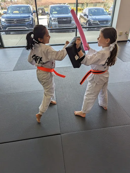 Apex Taekwondo Center Picture 5