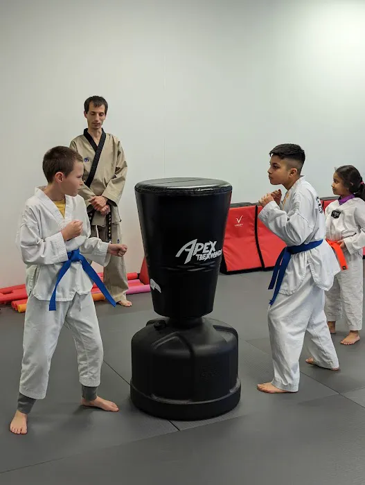 Apex Taekwondo Center Picture 6