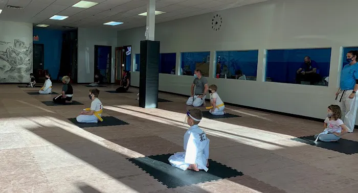 Adamson's Karate Carmel LLC Picture 5