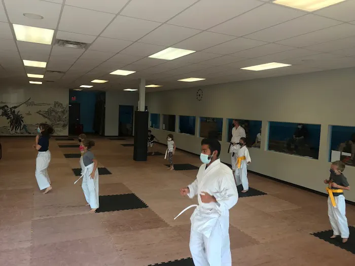 Adamson's Karate Carmel LLC Picture 4