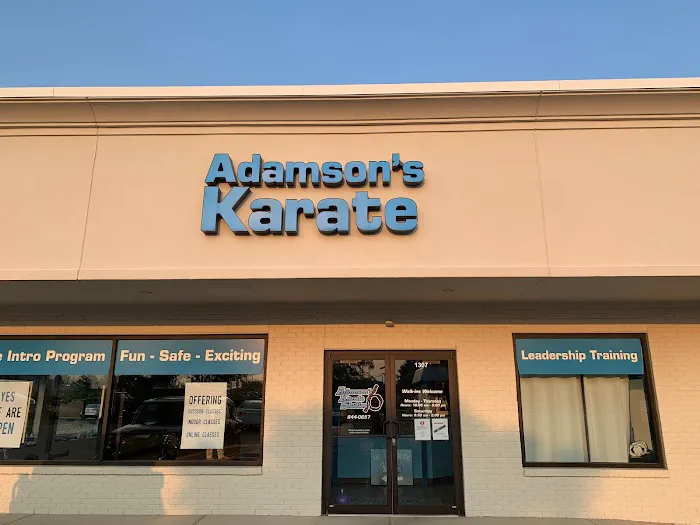 Adamson's Karate Carmel LLC Picture 3
