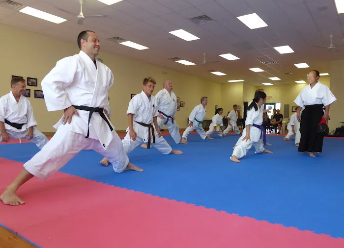 Ling's Oriental Martial Arts, LLC Picture 2