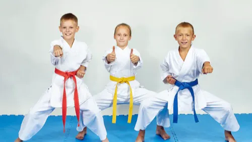 Mountain Martial Arts & Wellness Center Picture 3