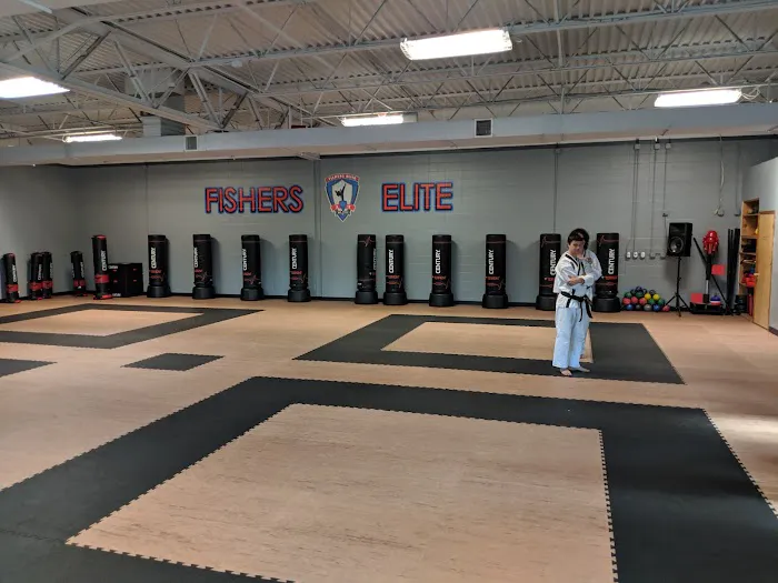 Fishers Elite Martial Arts Picture 2