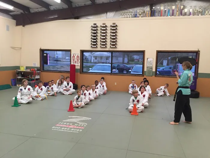 Indiana Martial Arts Picture 9