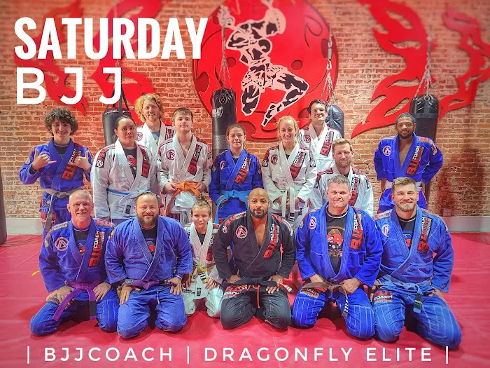 DragonFly Elite Martial Arts Picture 4