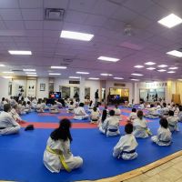 Korea Taekwondo Academy (KTA) ico