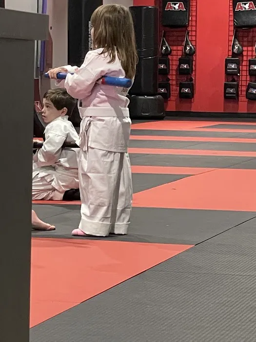 Courage Martial Arts Picture 2