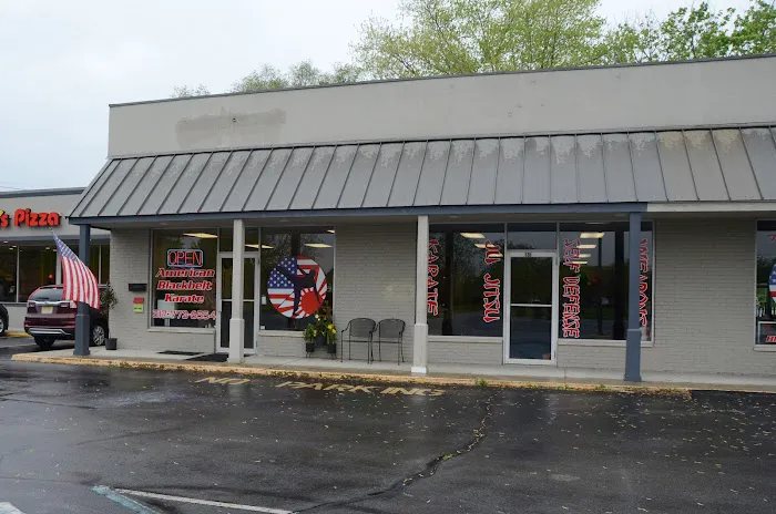 American Blackbelt Martial Arts Picture 1