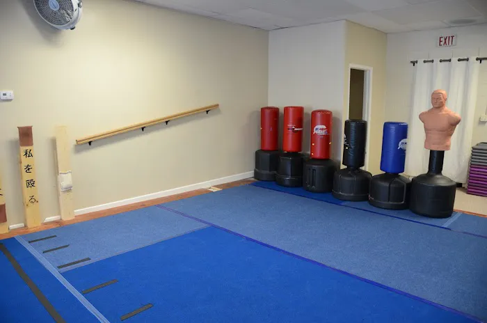 American Blackbelt Martial Arts Picture 4