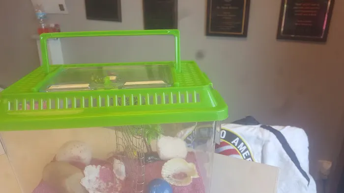 Harbour Town Martial Arts Picture 1