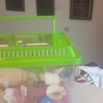 Harbour Town Martial Arts