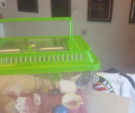 Harbour Town Martial Arts