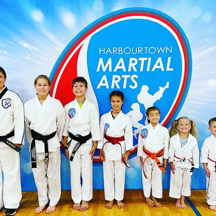 Harbour Town Martial Arts Picture 5