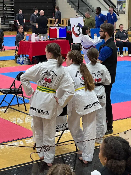 Ironhorse Martial Arts Picture 4