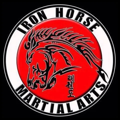 Ironhorse Martial Arts Picture 8