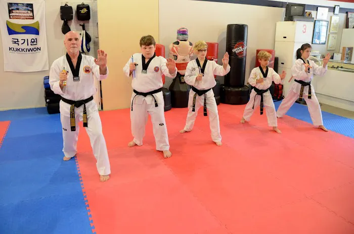 Indiana Taekwondo Academy Picture 2