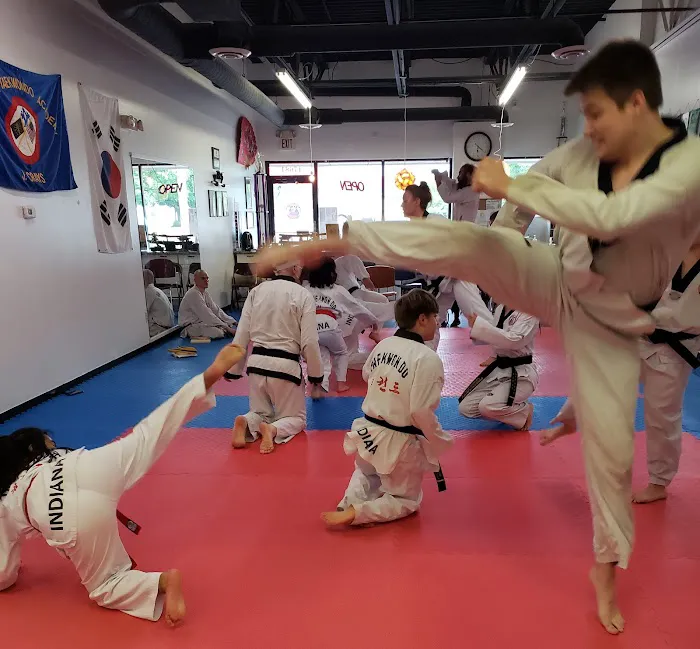 Indiana Taekwondo Academy Picture 5