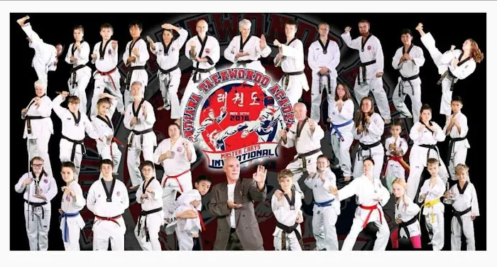Indiana Taekwondo Academy Picture 3