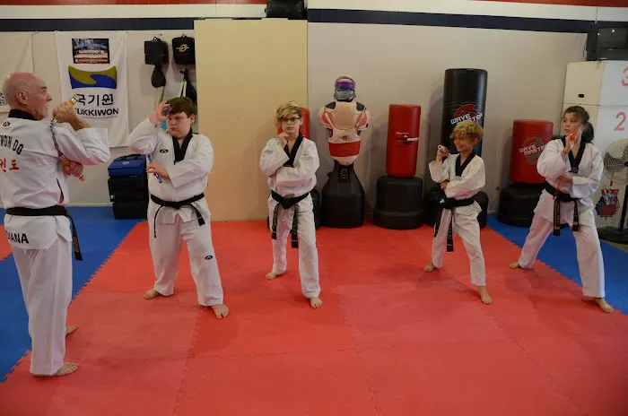 Indiana Taekwondo Academy Picture 8