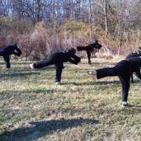 Muncie Martial Arts ico