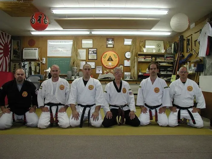 Aibudo Martial Arts System Picture 1