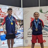 Meng’s Martial Arts of Richmond ico