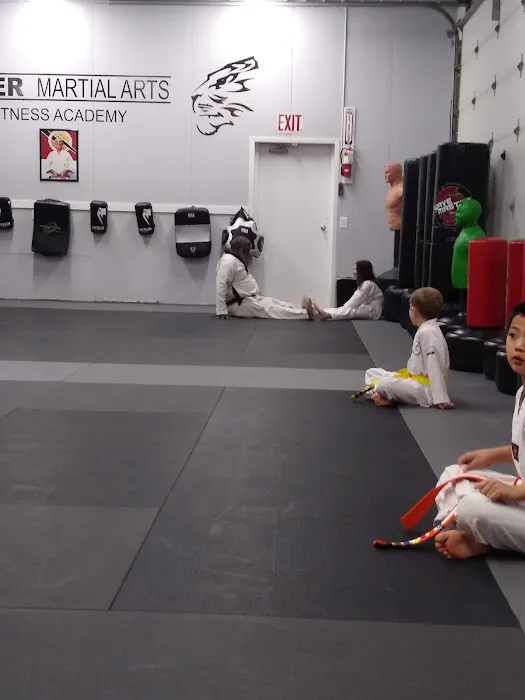 Tiger Martial Arts Fitness Academy Picture 3