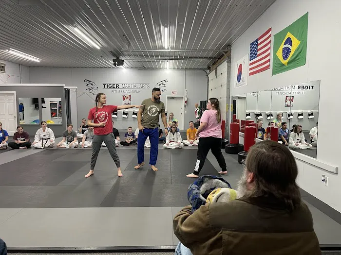 Tiger Martial Arts Fitness Academy Picture 4