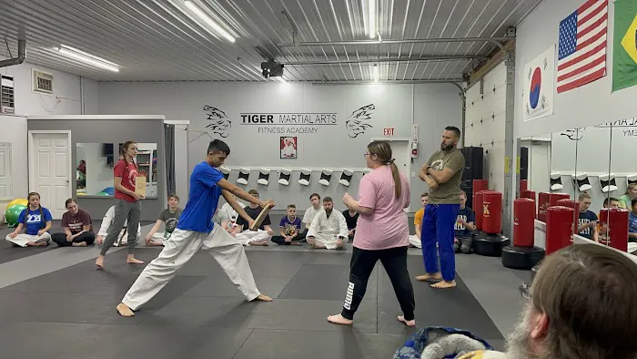Tiger Martial Arts Fitness Academy Picture 6