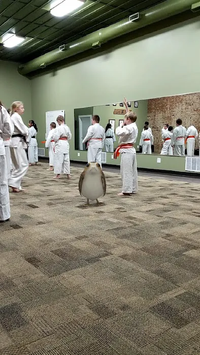 Pinnacle Martial Arts Picture 1